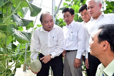 Trình Thủ tướng về tiêu chí nông nghiệp công nghệ cao